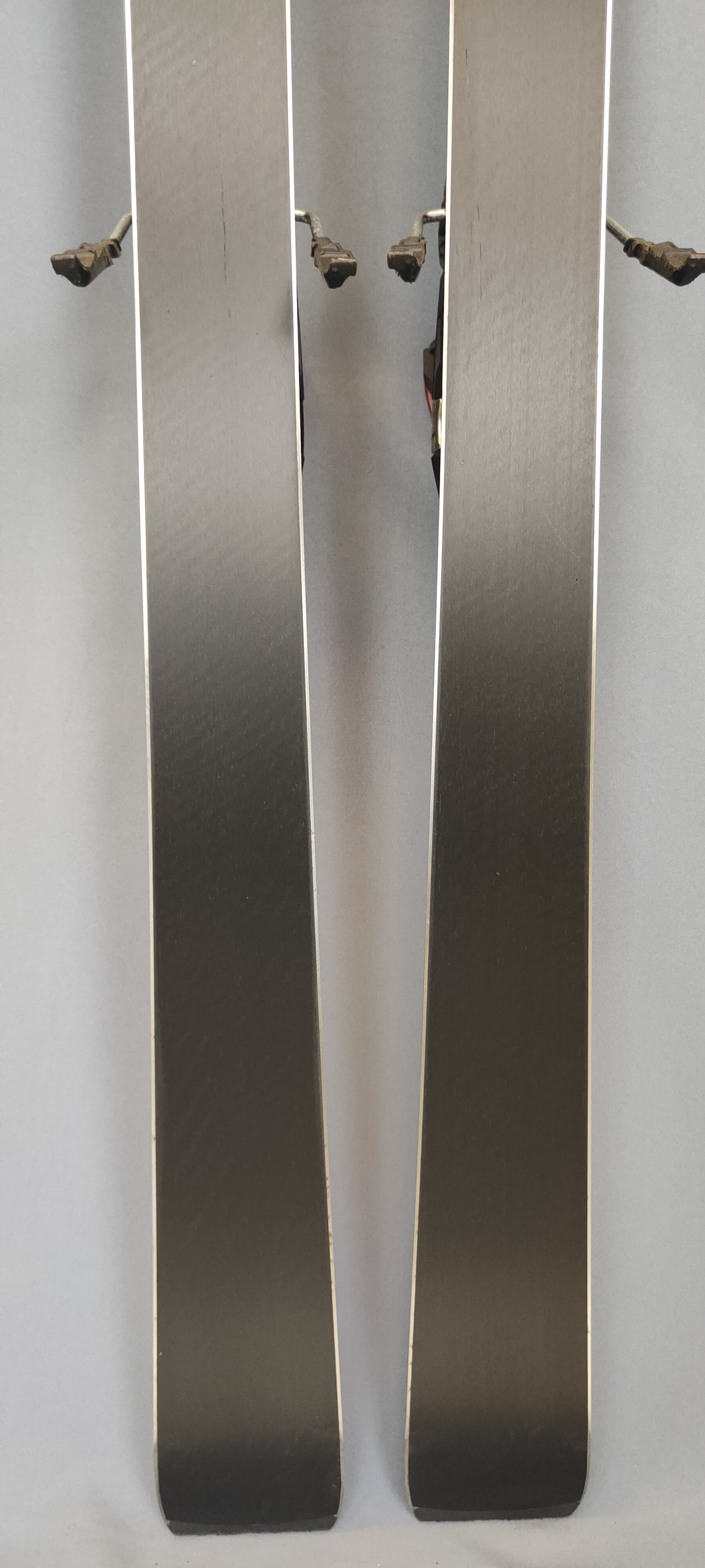 Nordica Doberman GSR 175